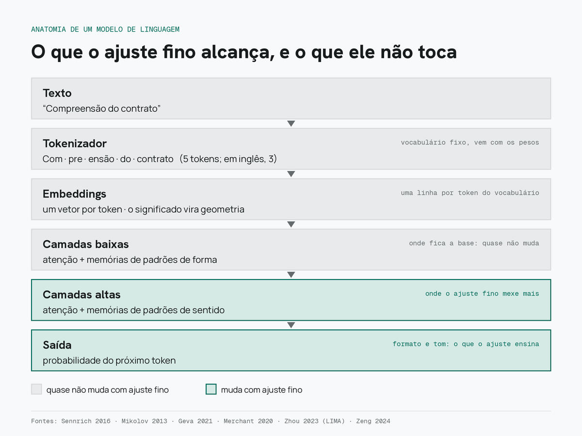 Anatomia de um modelo de linguagem: o que o ajuste fino alcança e o que ele não toca.